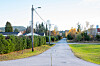 Skogvegen