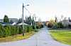 Skogvegen